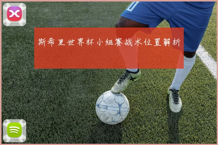 斯希里世界杯小组赛战术位置解析