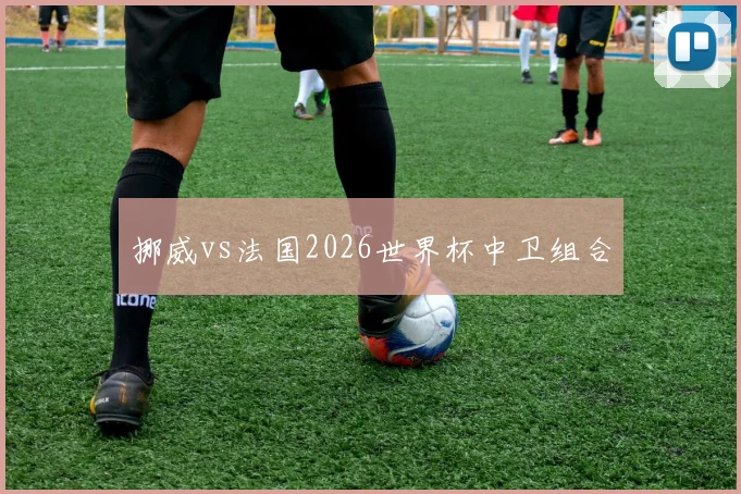 挪威vs法国2026世界杯中卫组合