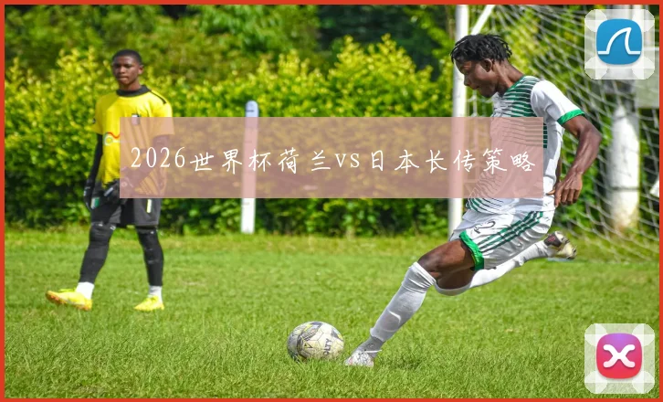 2026世界杯荷兰vs日本长传策略 — 详细说明